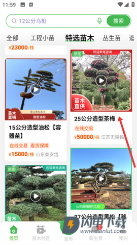 苗木通 第5张图
