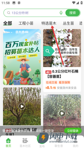 苗木通 第4张图