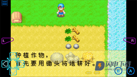 牧场物语矿石镇的伙伴们 第7张图