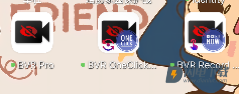 BVR Pro 第1张图