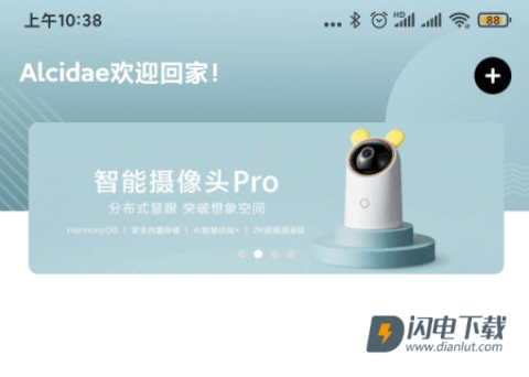 海雀 第4张图