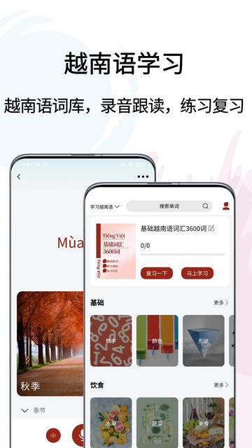 越南语翻译通 第1张图