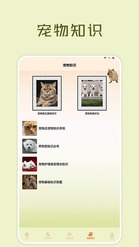 宠物小组件盒子 第1张图